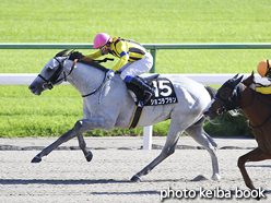 カラーパネル2016年10月10日京都9R レジェンドトレーナーカップ(ショコラブラン)