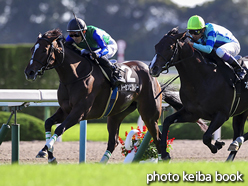 カラープリント(アルミ枠なし)2016年10月10日京都10R ジェンティルドンナメモリアル(トーセンビクトリー)