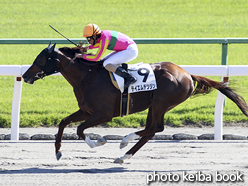 カラープリント(アルミ枠なし)2016年10月15日京都6R 3歳上500万下(テイエムテツジン)