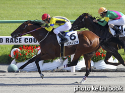 カラーパネル2016年10月15日京都8R 3歳上500万下(キセキノツヅキ)