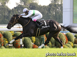 カラープリント(アルミ枠付き)2016年10月15日京都9R 紫菊賞(アダムバローズ)