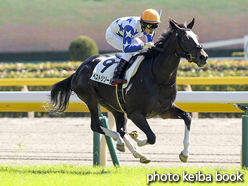 カラープリント(アルミ枠なし)2016年10月15日東京3R 2歳未勝利(ベストリゾート)