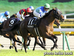 カラープリント(アルミ枠なし)2016年10月15日東京10R 白秋ステークス(ヴェルステルキング)