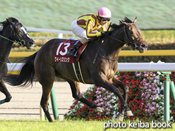 カラープリント(アルミ枠なし)2016年10月15日東京11R 府中牝馬ステークス(クイーンズリング)