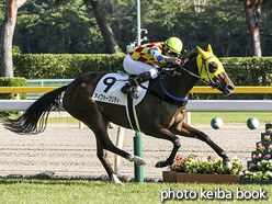 カラープリント(アルミ枠なし)2016年10月15日新潟9R 3歳上500万下(アイファープリティ)