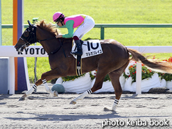 カラープリント(アルミ枠付き)2016年10月16日京都1R 2歳未勝利(マルカソレイユ)