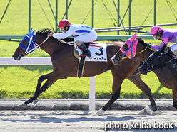 カラープリント(アルミ枠なし)2016年10月16日京都2R 2歳未勝利(リリーメーカー)