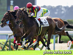 カラープリント(アルミ枠なし)2016年10月16日京都5R 2歳新馬(コロナシオン)