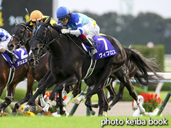 カラープリント(アルミ枠なし)2016年10月16日京都11R 秋華賞(ヴィブロス)