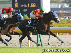 カラープリント(アルミ枠なし)2016年10月16日東京11R アイルランドトロフィー(ハギノハイブリッド)