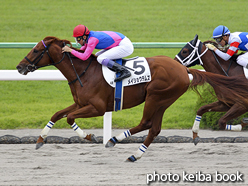 カラープリント(アルミ枠付き)2016年10月22日京都4R 2歳新馬(メイショウテムズ)