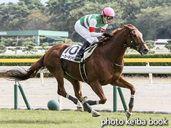 カラープリント(アルミ枠付き)2016年10月22日新潟4R 障害オープン(ホーカーテンペスト)