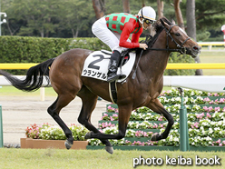 カラーパネル2016年10月22日新潟5R 2歳未勝利(ウランゲル)