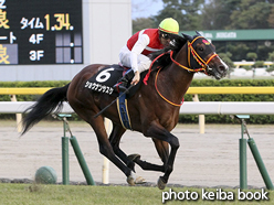 カラープリント(アルミ枠なし)2016年10月22日新潟12R 寺泊特別(ショウナンサスケ)