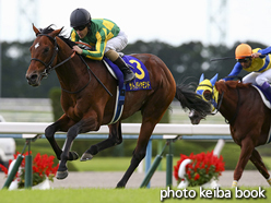 カラープリント(アルミ枠なし)2016年10月23日京都11R 菊花賞(サトノダイヤモンド)