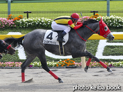 カラープリント(アルミ枠付き)2016年10月23日東京6R 3歳上500万下(ストロボフラッシュ)