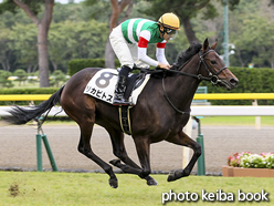 カラーパネル2016年10月23日新潟5R 2歳新馬(リカビトス)