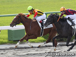 カラーパネル2016年10月29日京都4R 2歳新馬(ヒップホップスワン)