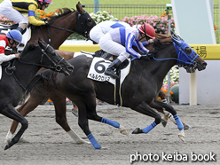 カラーパネル2016年10月29日東京7R 3歳上500万下(ペルルクロシュ)