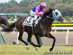 カラープリント(アルミ枠なし)2016年10月29日新潟8R 3歳上500万下(メイショウミツボシ)