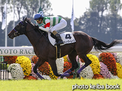 カラーパネル2016年10月30日京都3R 2歳未勝利(スティーマーレーン)