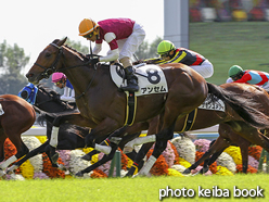 カラープリント(アルミ枠なし)2016年10月30日京都5R 2歳新馬(アンセム)