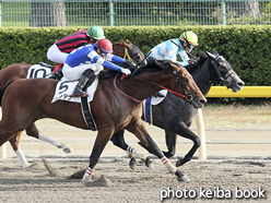 カラーパネル2016年10月30日新潟9R 3歳上500万下(レアドロップ)