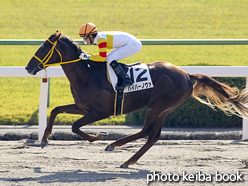 カラーパネル2016年11月5日京都2R 2歳未勝利(ハイパーノヴァ)