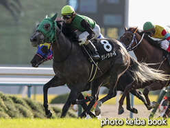 カラープリント(アルミ枠なし)2016年11月5日京都9R 近江特別(クリノラホール)