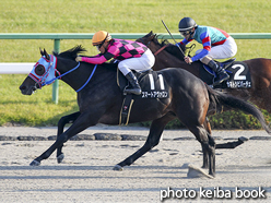 カラーパネル2016年11月5日京都10R 貴船ステークス(スマートアヴァロン)