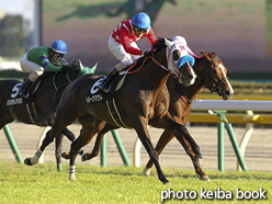 カラープリント(アルミ枠なし)2016年11月5日東京10R ノベンバーステークス(トルークマクト)