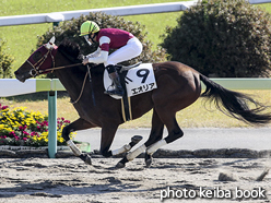 カラーパネル2016年11月5日福島1R 2歳未勝利(エオリア)