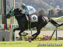 カラープリント(アルミ枠付き)2016年11月5日福島5R 障害未勝利(ポンデザムール)