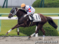 カラーパネル2016年11月6日京都1R 2歳未勝利(テンザワールド)