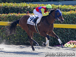 カラープリント(アルミ枠付き)2016年11月6日東京1R 2歳未勝利(ポンテドーロ)