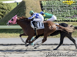 カラーパネル2016年11月6日福島5R 2歳新馬(パレスパラダイス)