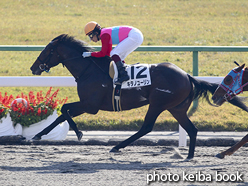 カラープリント(アルミ枠なし)2016年11月12日京都1R 2歳未勝利(キタノユーリン)