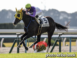 カラーパネル2016年11月12日京都4R 2歳未勝利(ハローユニコーン)