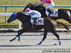 カラーパネル2016年11月12日京都7R 3歳上500万下(サンビショップ)