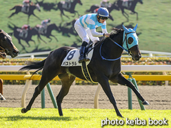 カラーパネル2016年11月12日東京3R 2歳未勝利(パストラル)