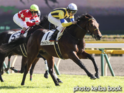 カラーパネル2016年11月12日東京5R 2歳新馬(ヴォルフトーン)