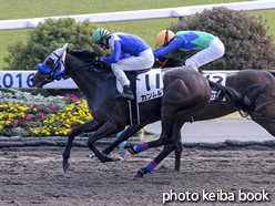 カラープリント(アルミ枠なし)2016年11月12日福島1R 2歳未勝利(カンムル)