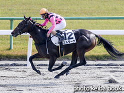 カラープリント(アルミ枠付き)2016年11月13日京都6R 3歳上500万下(スルターナ)