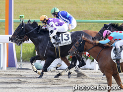 カラーパネル2016年11月13日京都9R 3歳上1000万下(サンライズアルブル)