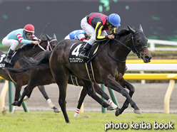 カラーパネル2016年11月13日東京9R tvk賞(ワンブレスアウェイ)