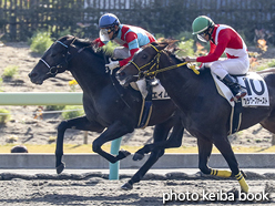 カラーパネル2016年11月13日福島3R 3歳上500万下(エイムハイ)