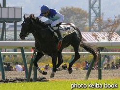 カラープリント(アルミ枠なし)2016年11月13日福島5R 障害未勝利(アドマイヤフォルム)