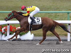 カラープリント(アルミ枠付き)2016年11月19日京都6R 2歳新馬(タテヤマ)