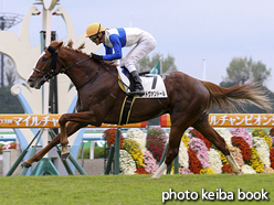 カラープリント(アルミ枠なし)2016年11月19日京都8R 3歳上1000万下(ロードヴァンドール)