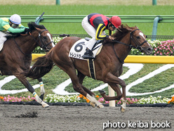 カラープリント(アルミ枠付き)2016年11月19日東京1R 2歳未勝利(トレンドライン)